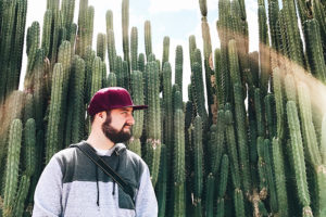 guide to cactus gardens in the desert